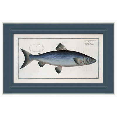 Blue Fish " Blue Fish 4 " by Dana Gibson