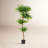 Amee 61" H Creative Shaped Faux Ficus Tree in Pot