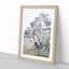 Lilies & Cypress Tree by Yun Shouping - Framed Print-55617583-55617585
