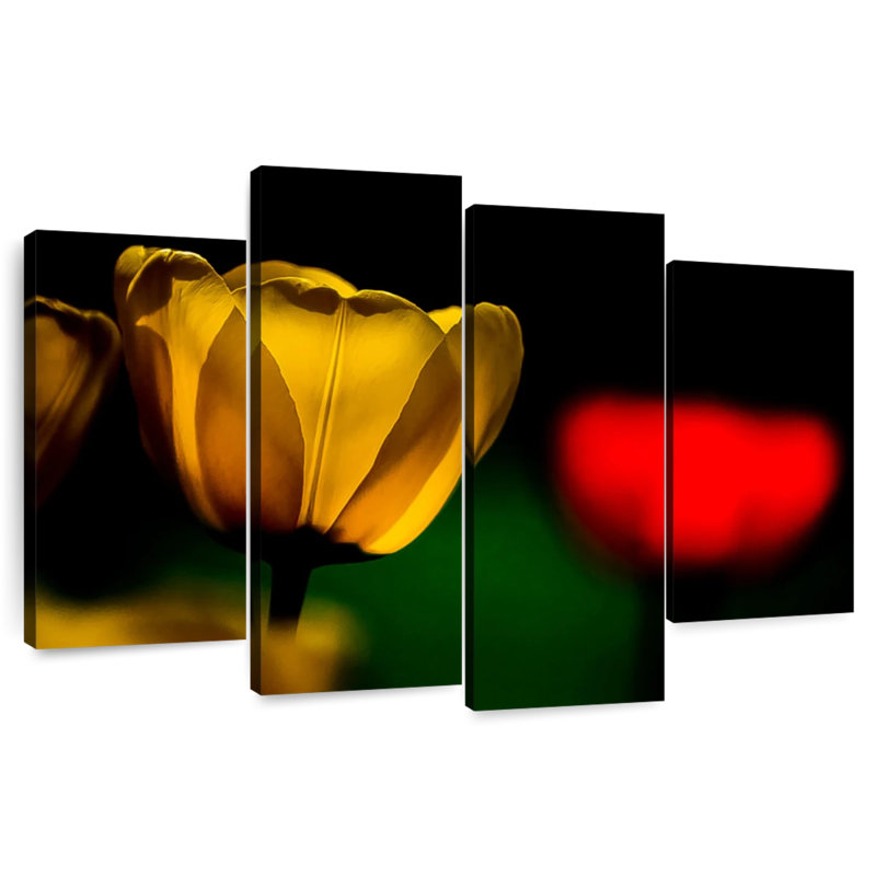 Harnek tulipes jaunes en fleurs