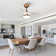 Haywa 28'' Ceiling Fan with LED Lights