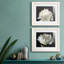 ALL AFLUTTER - ensemble de 2 reproductions-1761994144-1761994145-1778156556