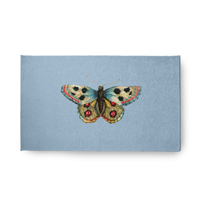 Arlita Chenille Indoor Rug