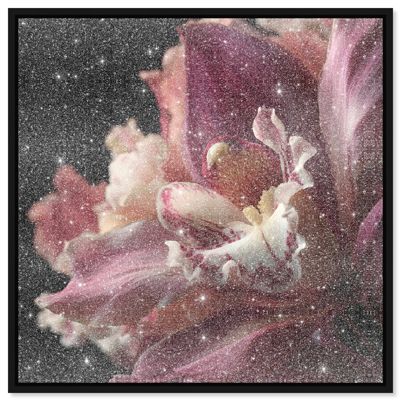 Velvet Labellum Print by Oliver Gal, 31"H x 31"W, Black Floater Frame