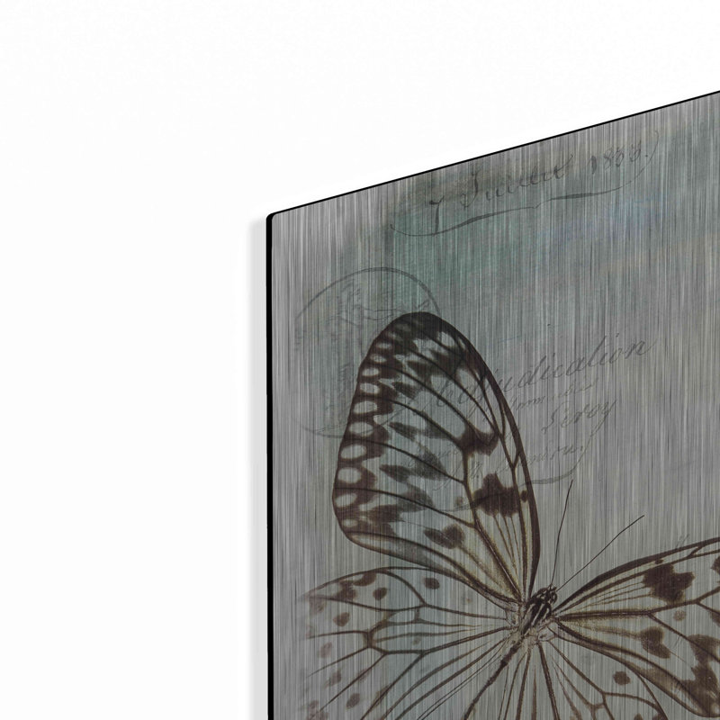 «Floating Butterfly IV» par Debra Van Swearingen, H 24 po x l 24 po