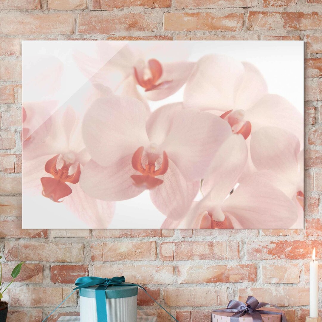 Glasbild Helle Orchideen