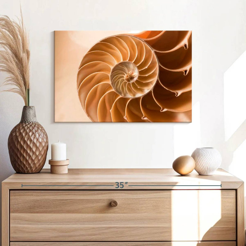 Aletra Nautilus Shell Inside, 16" H x 24" W