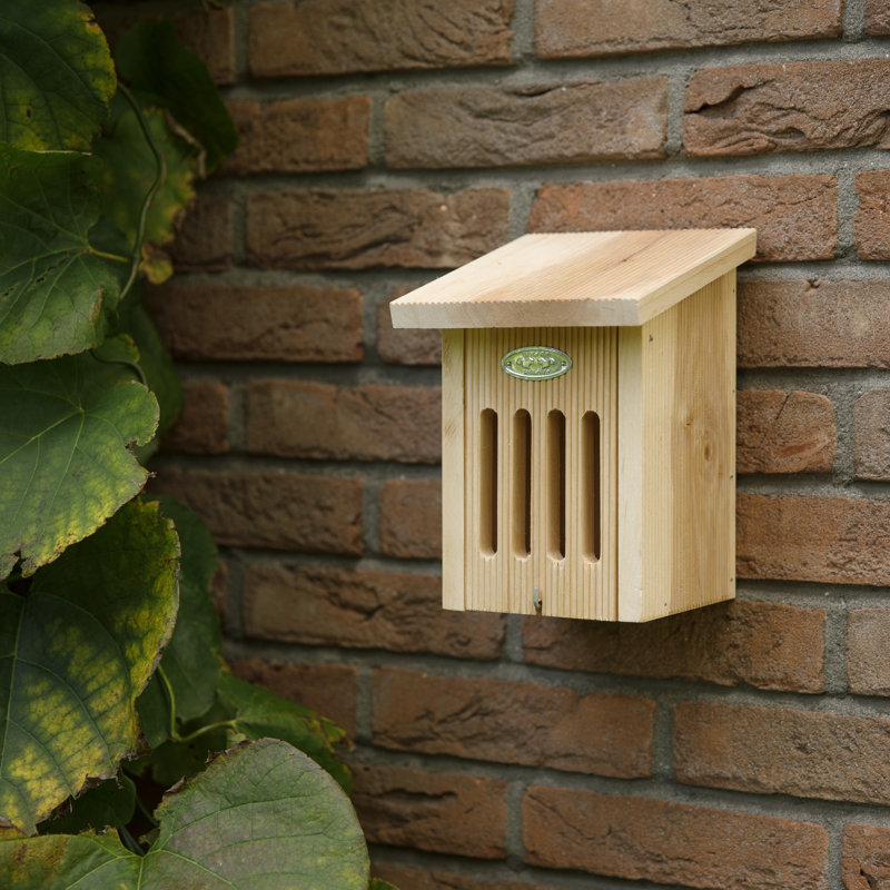 Butterfly House in Giftbox Fsc 100%
