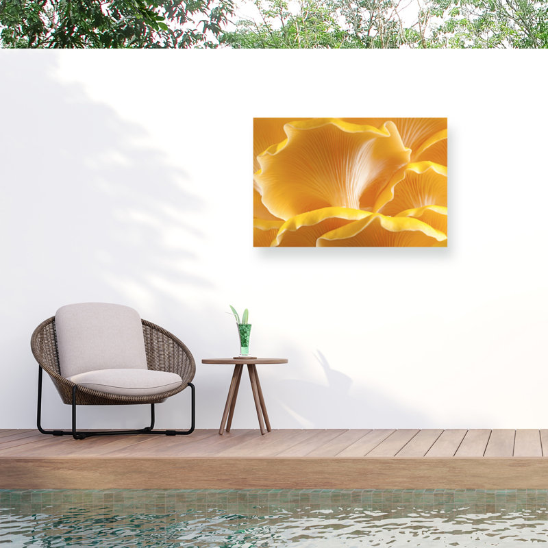 Marcus Jules, toile de fond champignon jaune, H 22 po x l 32 po
