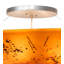 6 - Light Flush Mount