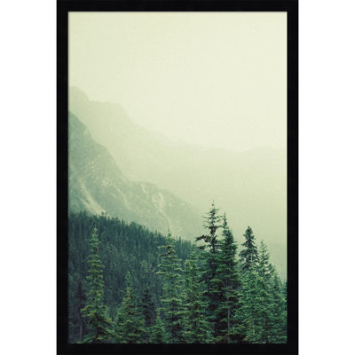 Rocky Mountain by Lynann Colligan