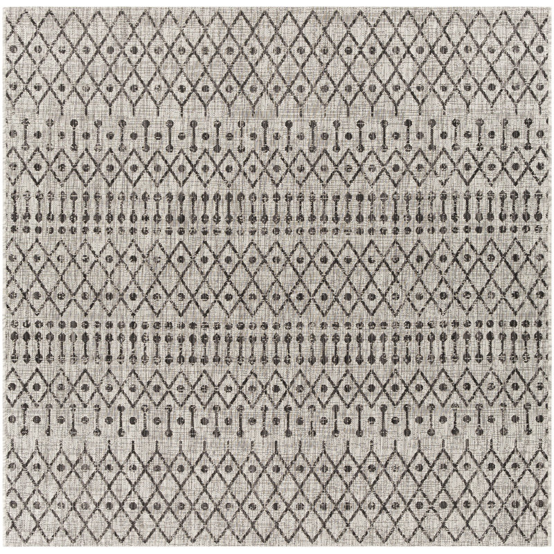 Hongming Indoor / Outdoor Rug, Square 7'