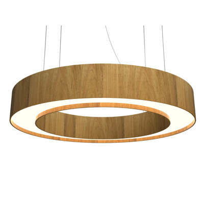 1 - Light LED Pendant