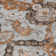 Machine Washable Indoor/Outdoor Xhevrie Paprika Rug
