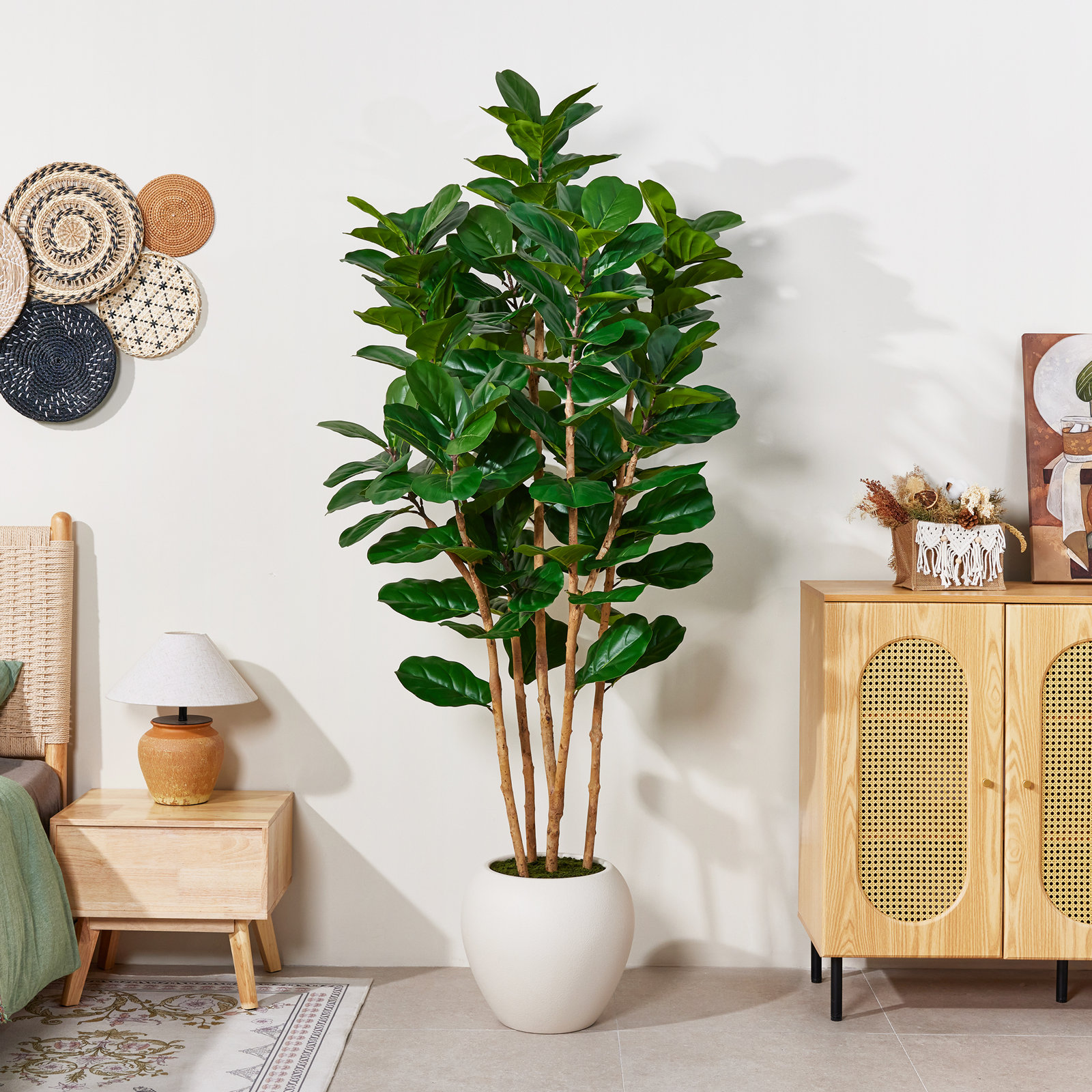 Caigan Fiddle Leaf Fig Tree in Decorative Vase, 84 in x 36 in