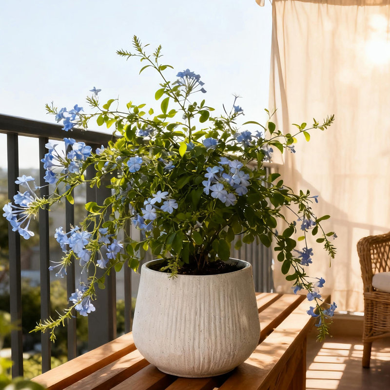 Jardinières en oxyde de magnésium 11 "avec drainage, esthétique moderne pour pots de fleurs d'intérieur et de jardin dans un patio de jardin x H 9" pré-percé