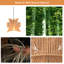 1 - Light Farmhouse Boho Geometric Rattan Pendant Light