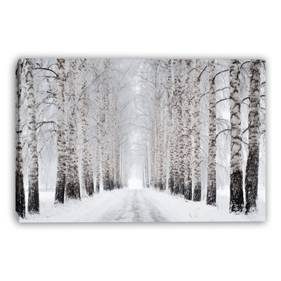 Winter Birch Path Wrapped Canvas Wall Art