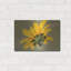 "Textures 18" par Gordon Semmens-1528191451