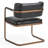 Fonda Leather Dining Chair-563253023