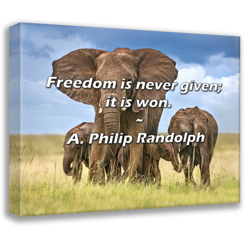 A. Philip Randolph Quote: Freedom is never given; it is won., 20" H x 24" W