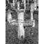 Cimetière militaire roumain, Première Guerre mondiale-1460489024