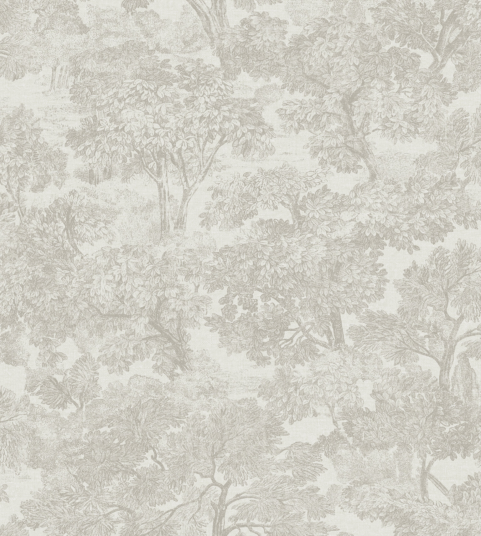 Birch Lane™ Otera Toile 33' x 20.5" Wallpaper Roll & Reviews | Birch Lane