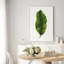 Reproduction d'art «Emerald Leaf Study» par Dollybirds-131890096-131890099