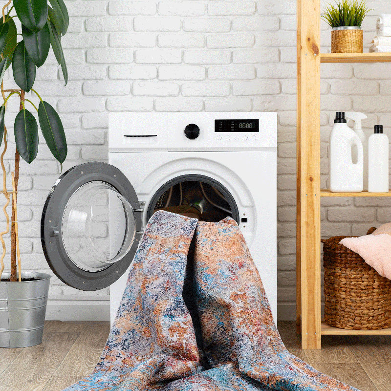Machine Washable Multi Rug, Abstract Area Rug For Living Room, Rectangle 2' x 3'