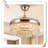 Museau Ceiling Fan with LED Lights-110063106
