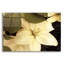 «Lily And Leaves» par Rebecca Swanson-401350663
