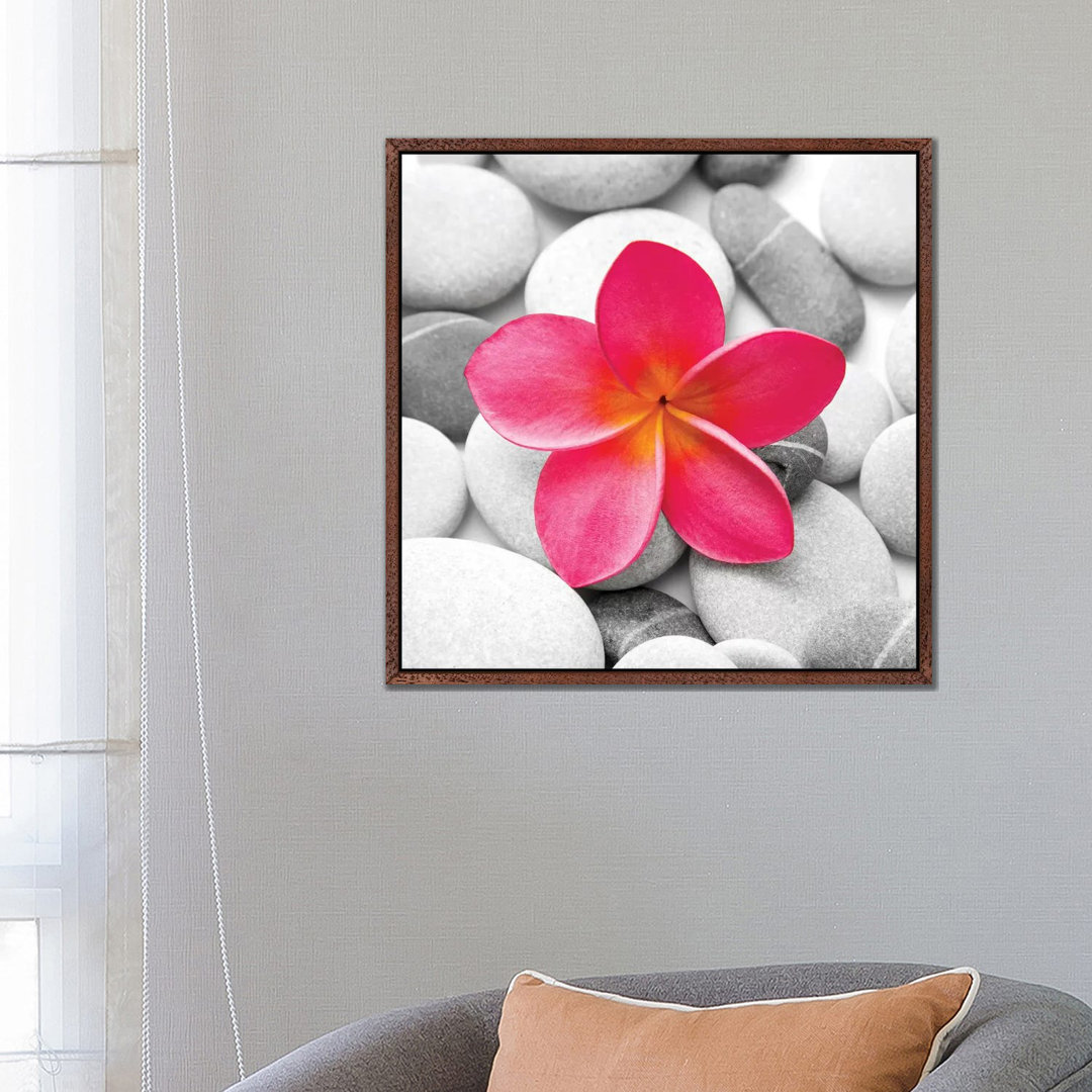 Fotodruck Zen Flower von PhotoINC Studio