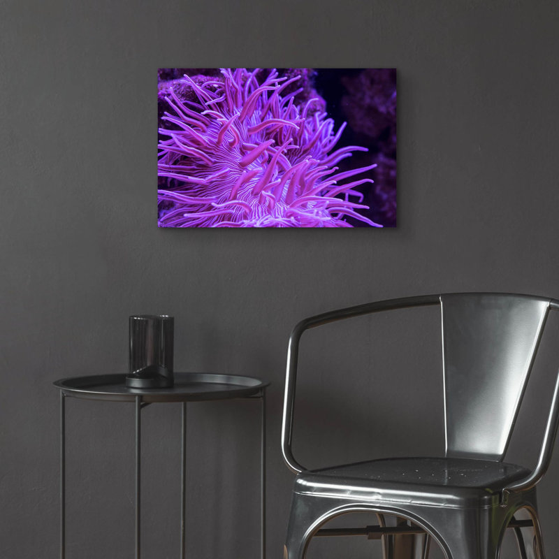 «Striped Long Tentacle Anemone» par Epic Portfolio, art mural en verre acrylique, H 16 po x l 24 po x P 0,2 po