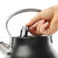 HADEN 1.79 Quarts Stainless Steel Electric Tea Kettle-93092104