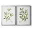 Toile encadrée Herb Sage Premium - prête à être accrochée-1062113800-1062113812