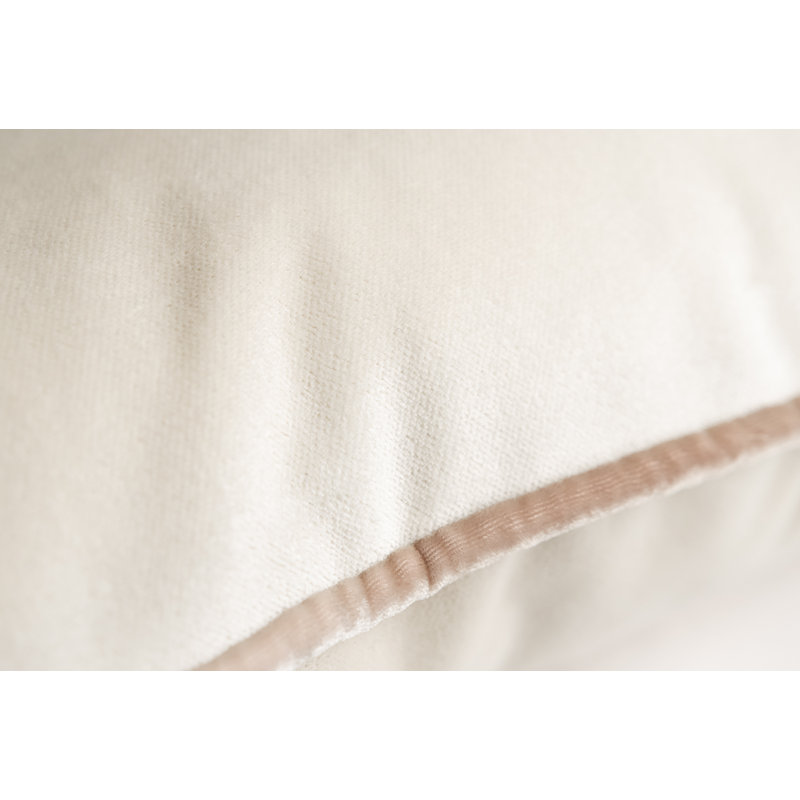 Velvet Pillow Cover & Insert, Latte, Square 20"