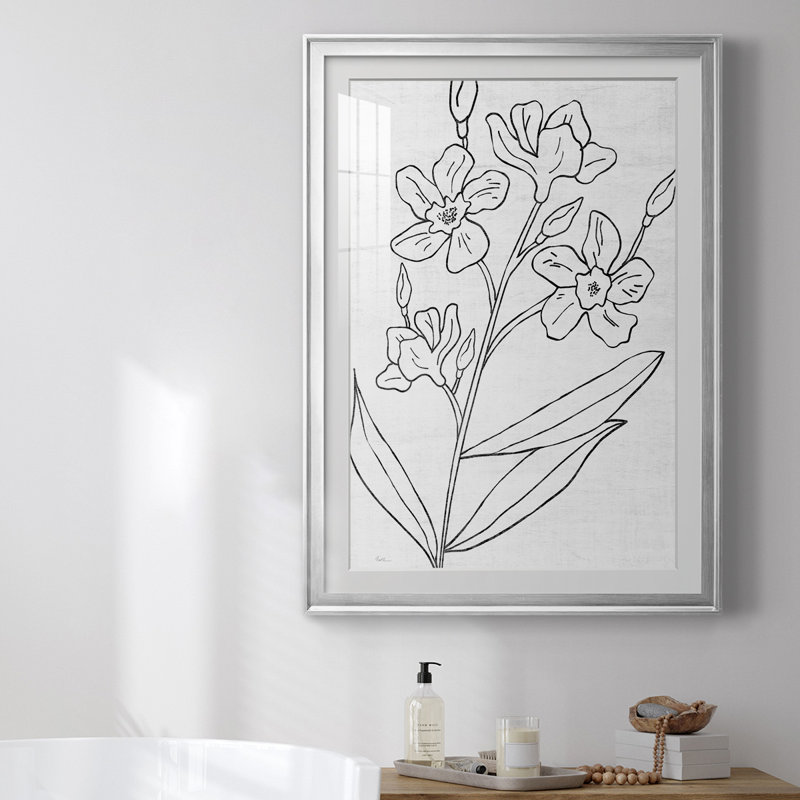 Botanical S croquis I, reproduction encadrée de qualité supérieure - prête à être accrochée, Cadre argenté