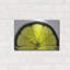 "Fruit Macros 09" par Gordon Semmens-101624066