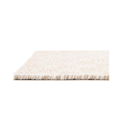 Traetyn Flatweave Wool Indoor Rug