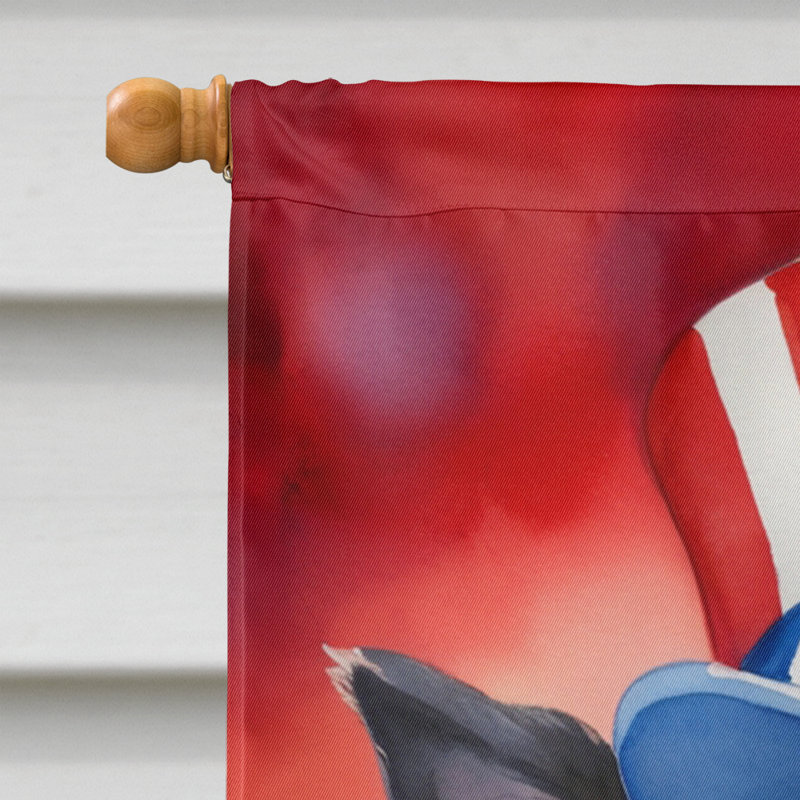 Drapeau patriotique de la maison américaine, Berger de Tervueren