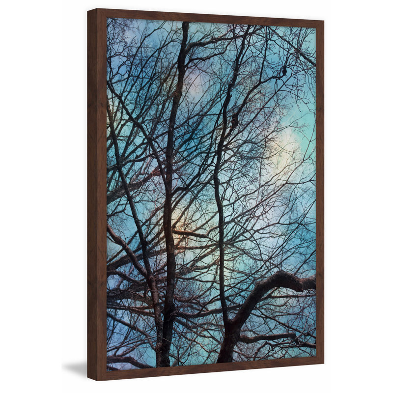 Judy Stalus - Single Picture Frame Print, 61cm H x 41cm W x 3.81cm D