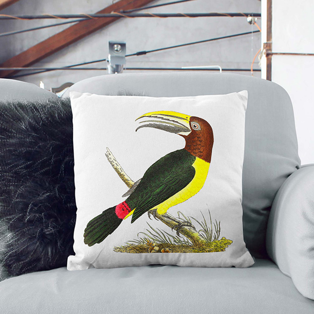 Toucan by George Shaw Cushion with Filling