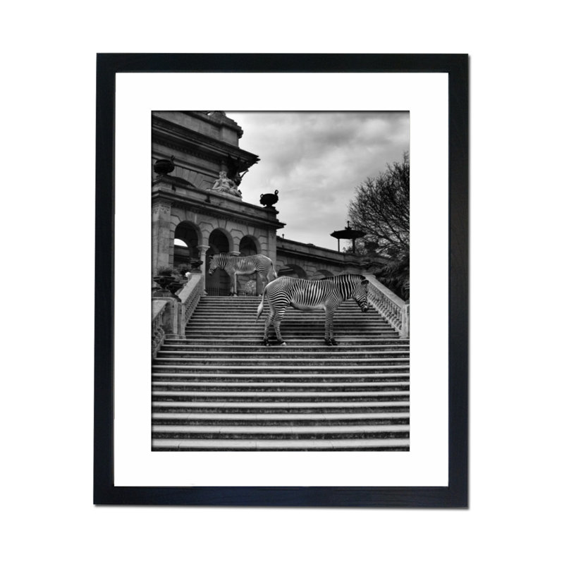 Single Picture Frame Print