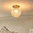 1 - Light Glass Globe Flush Mount Ceiling Light