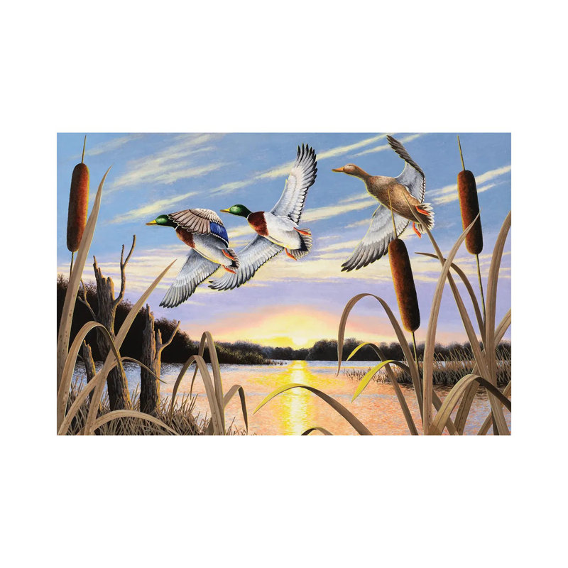 Ducks by Bob Schmidt - Wrapped Canvas Gallery-Wrapped Canvas Giclée, 20.32 cm H x 30.48 cm W