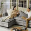 Herrick 142"W Modern Elephant Ear-Shaped Armrests Sectional Sofa with Ottoman-2096385526