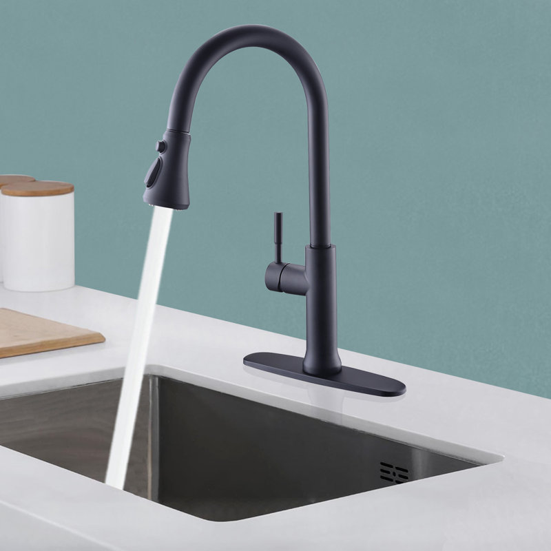 GAWEZA Pull Down Kitchen Faucet