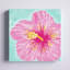 Hibiscus d'Hawaï - peinture sur toile tendue-588417974