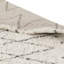 Albers Geometric Shag Area Rug-25964706