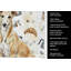Serviette de cuisine Fawn Greyhound Coffee Bar-1234934581